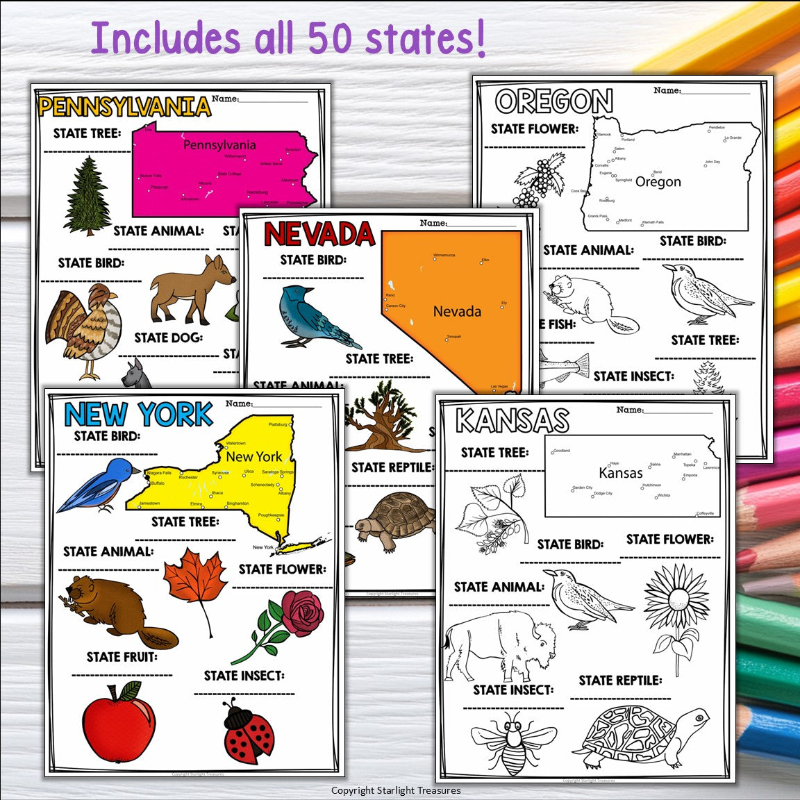 50 States Research Posters, Coloring Pages - US States Research Project