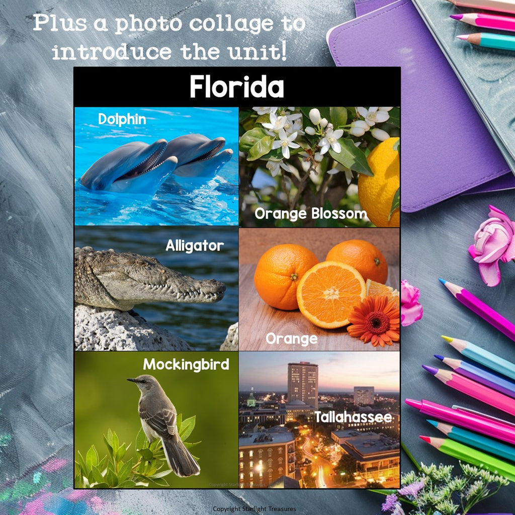 Florida Mini Book for Early Readers - A State Study