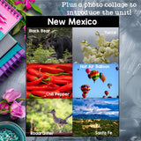 New Mexico Mini Book for Early Readers - A State Study