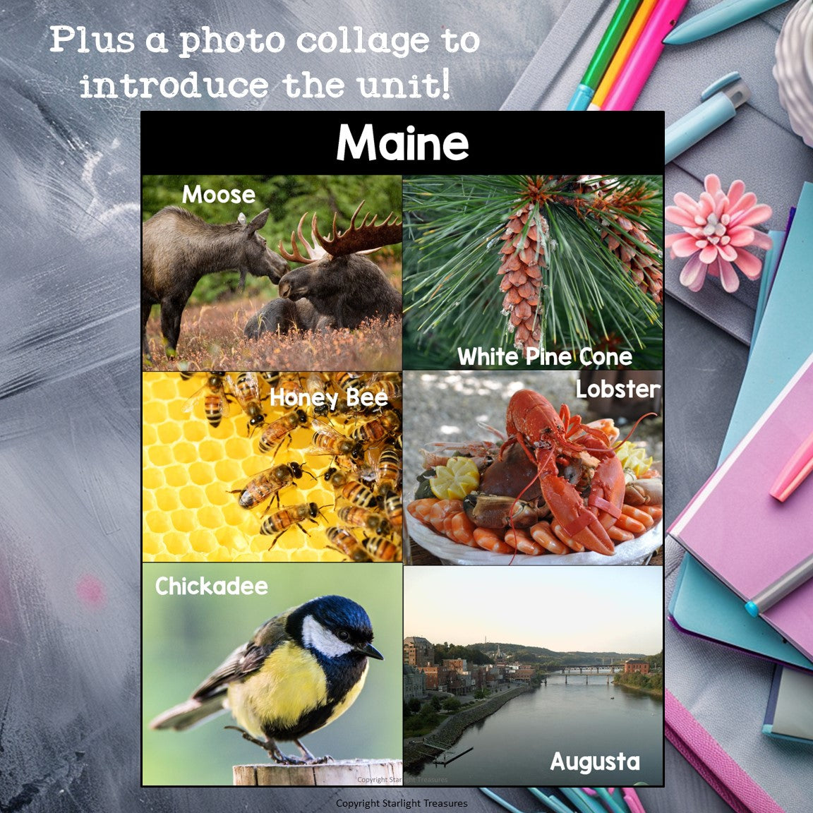 Maine Mini Book for Early Readers - A State Study
