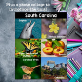 South Carolina Mini Book for Early Readers - A State Study