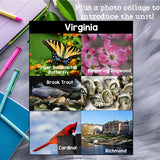 Virginia Mini Book for Early Readers - A State Study