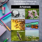 Arkansas Mini Book for Early Readers - A State Study