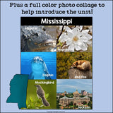 Mississippi Mini Book for Early Readers - A State Study