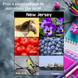 New Jersey Mini Book for Early Readers - A State Study