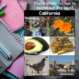 California Mini Book for Early Readers - A State Study