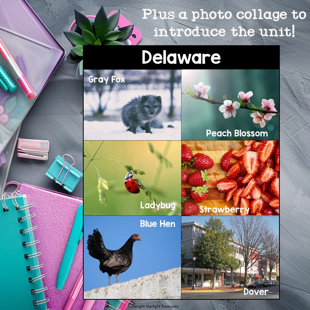 Delaware Mini Book for Early Readers - A State Study