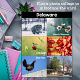 Delaware Mini Book for Early Readers - A State Study