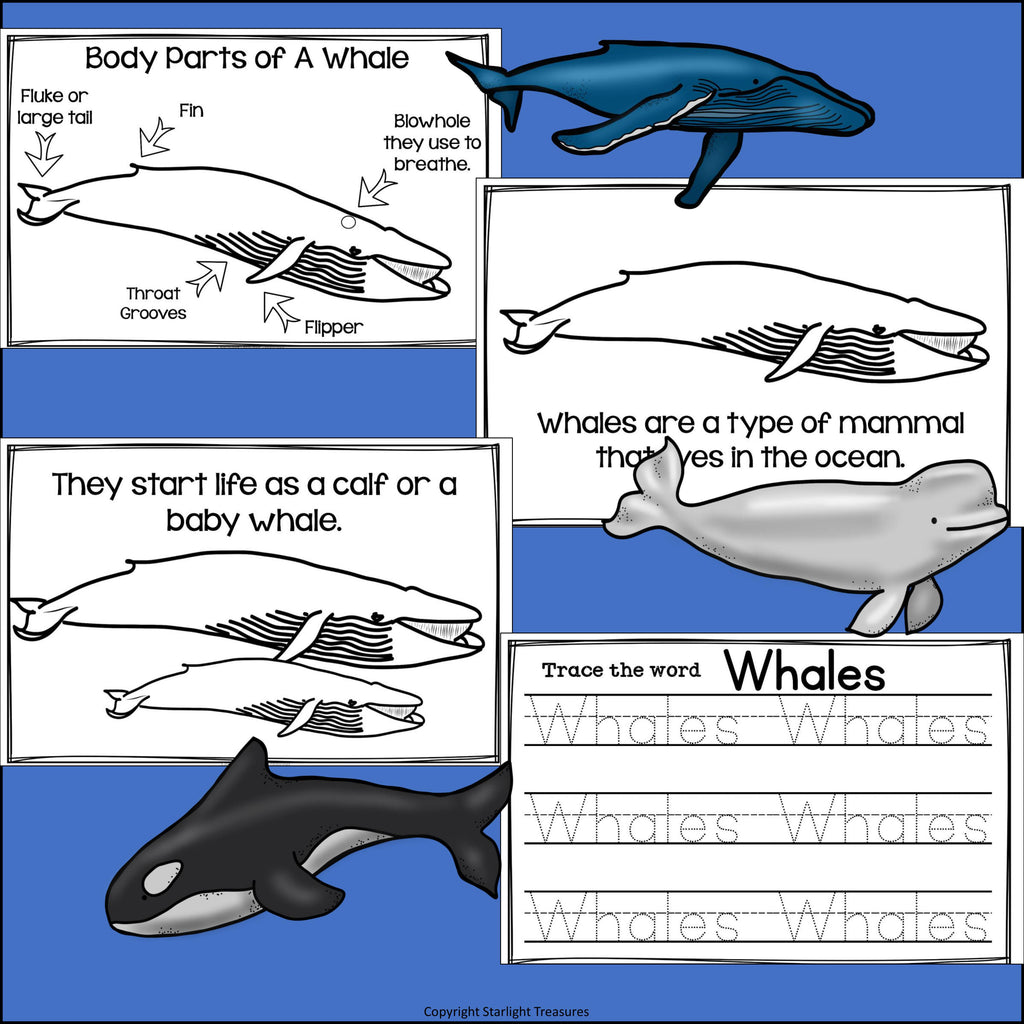Whales Mini Book for Early Readers