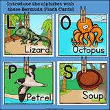 Alphabet Flash Cards for Early Readers - Country of Bermuda