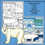 Polar Bear Fact Sheet for Early Readers