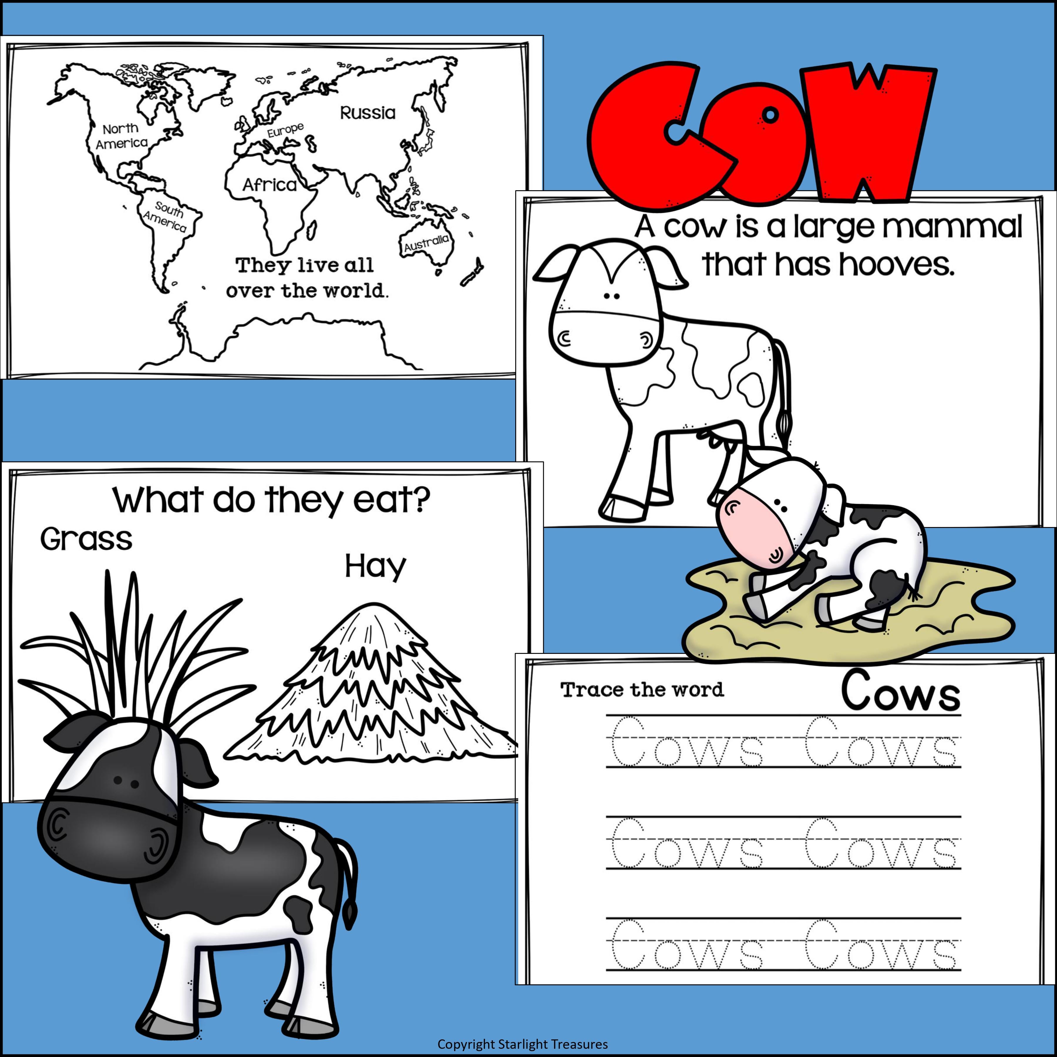 Cows Mini Book for Early Readers - Animal Study
