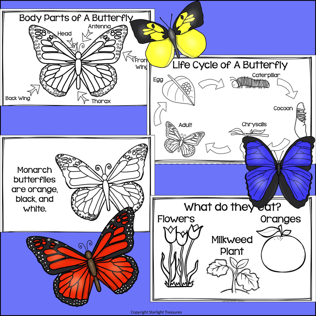 Types of Butterflies Mini Book for Early Readers