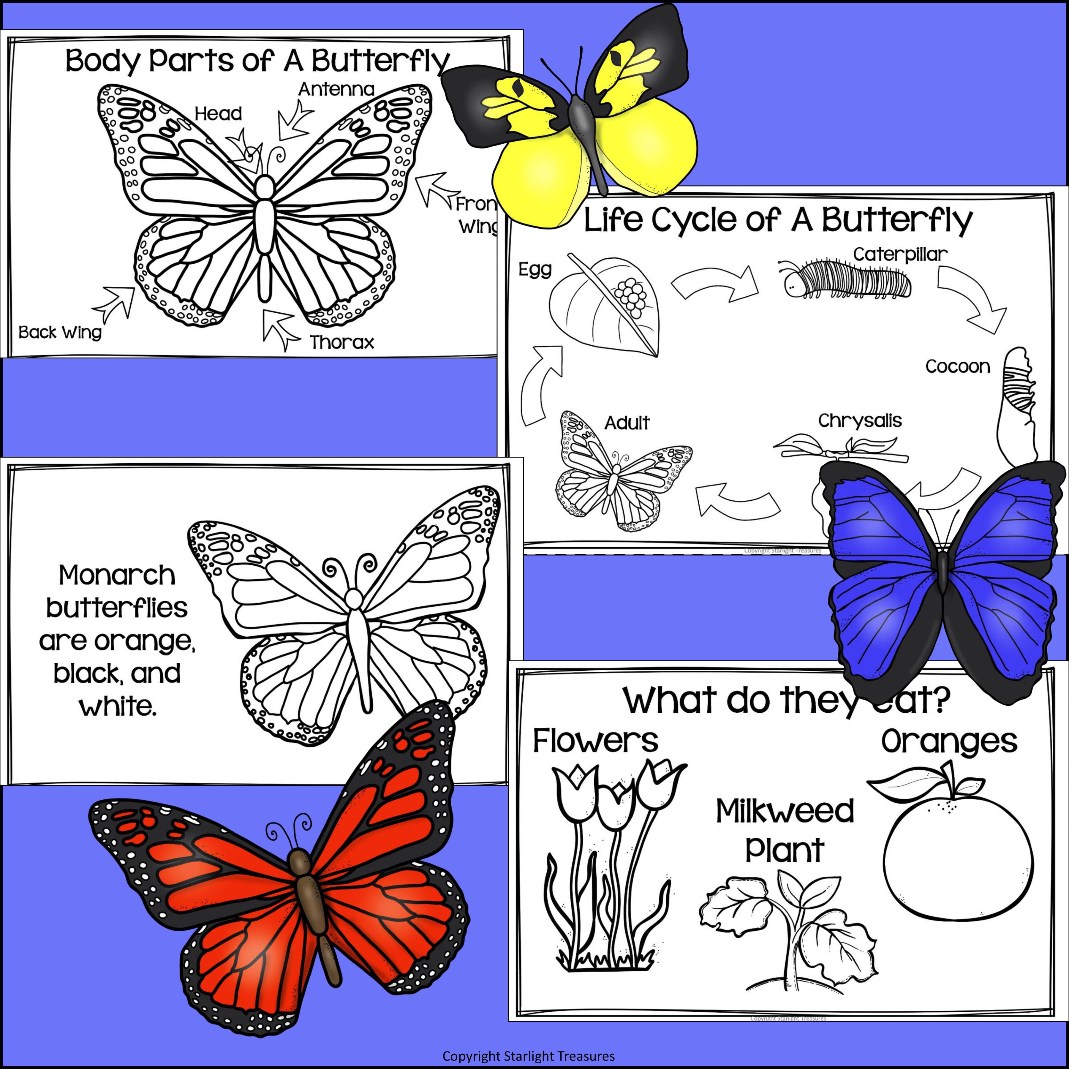 Types of Butterflies Mini Book for Early Readers