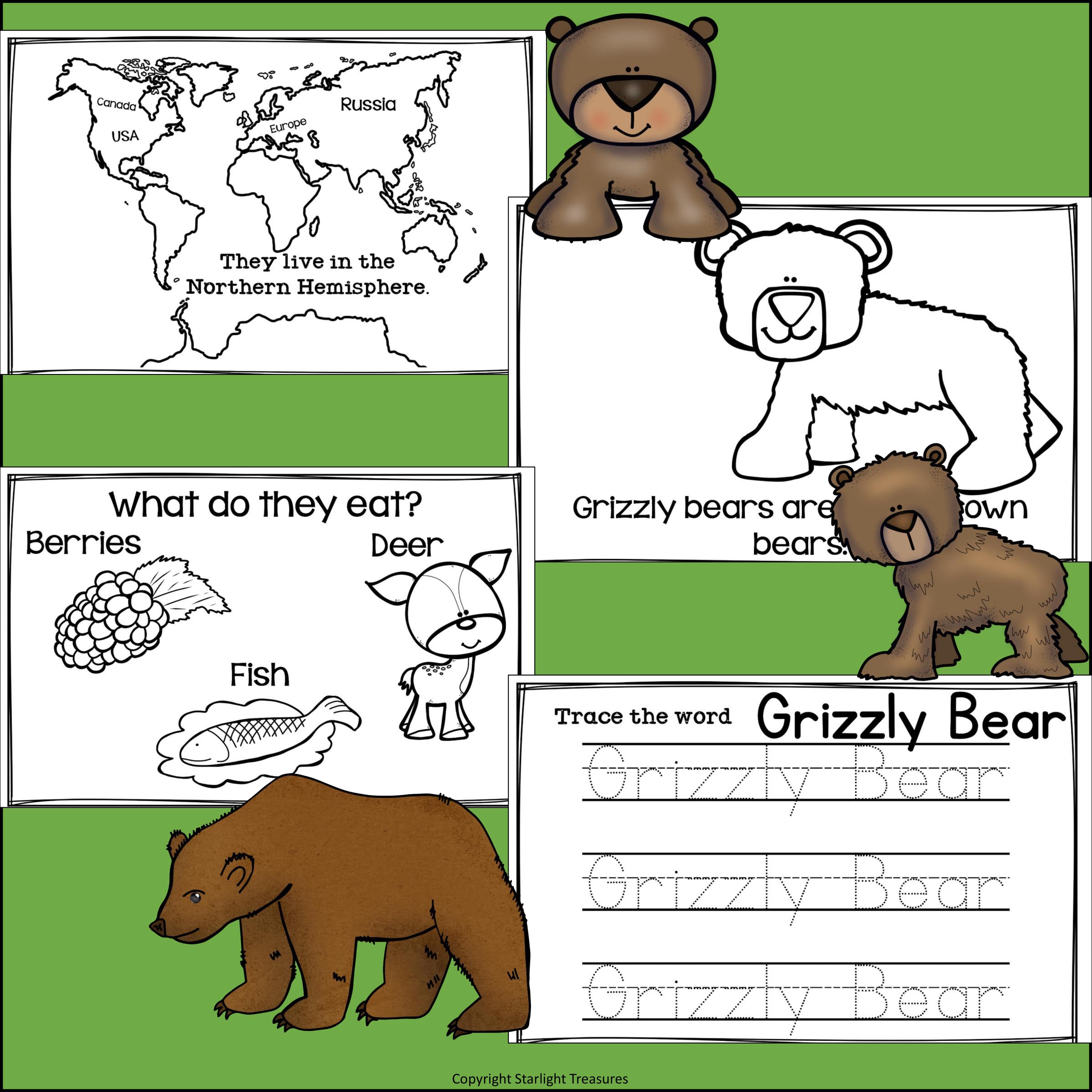 Grizzly Bears Mini Book for Early Readers