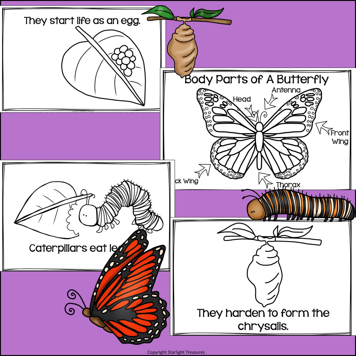 Butterflies Mini Book for Early Readers – Starlight Treasures LLC