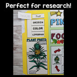Pineapple Lapbook for Early Learners - Plant Study