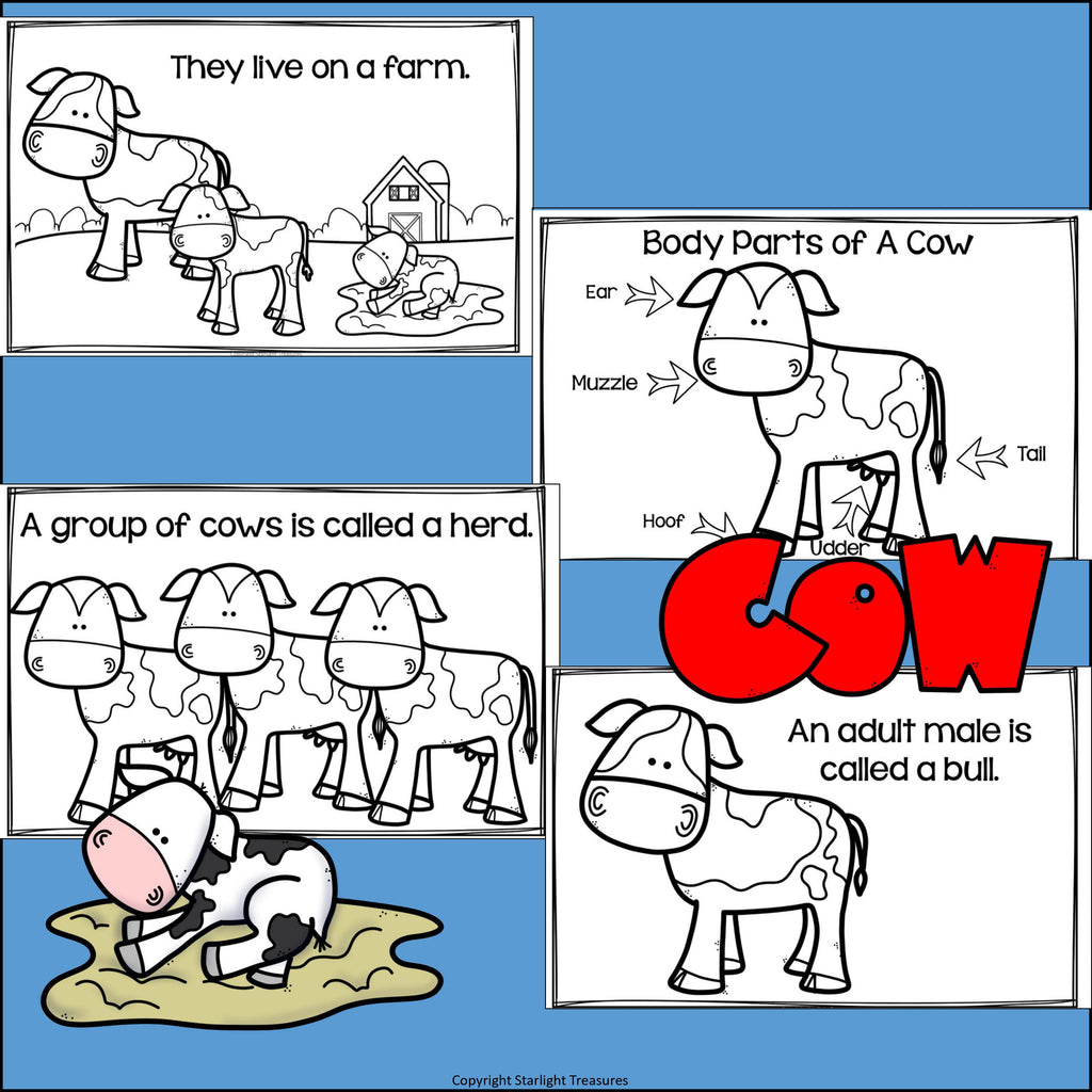 Cows Mini Book for Early Readers - Animal Study