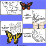 Types of Butterflies Mini Book for Early Readers