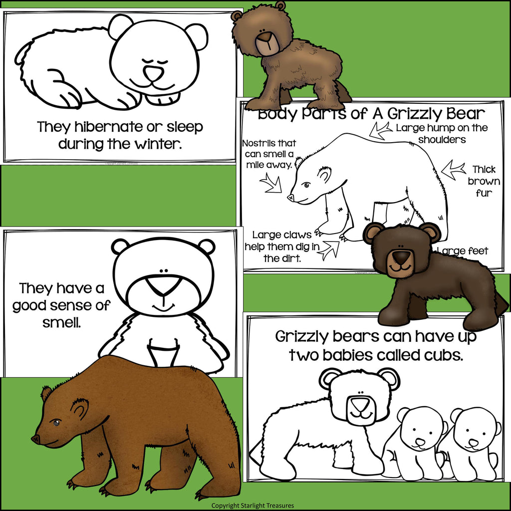 Grizzly Bears Mini Book for Early Readers