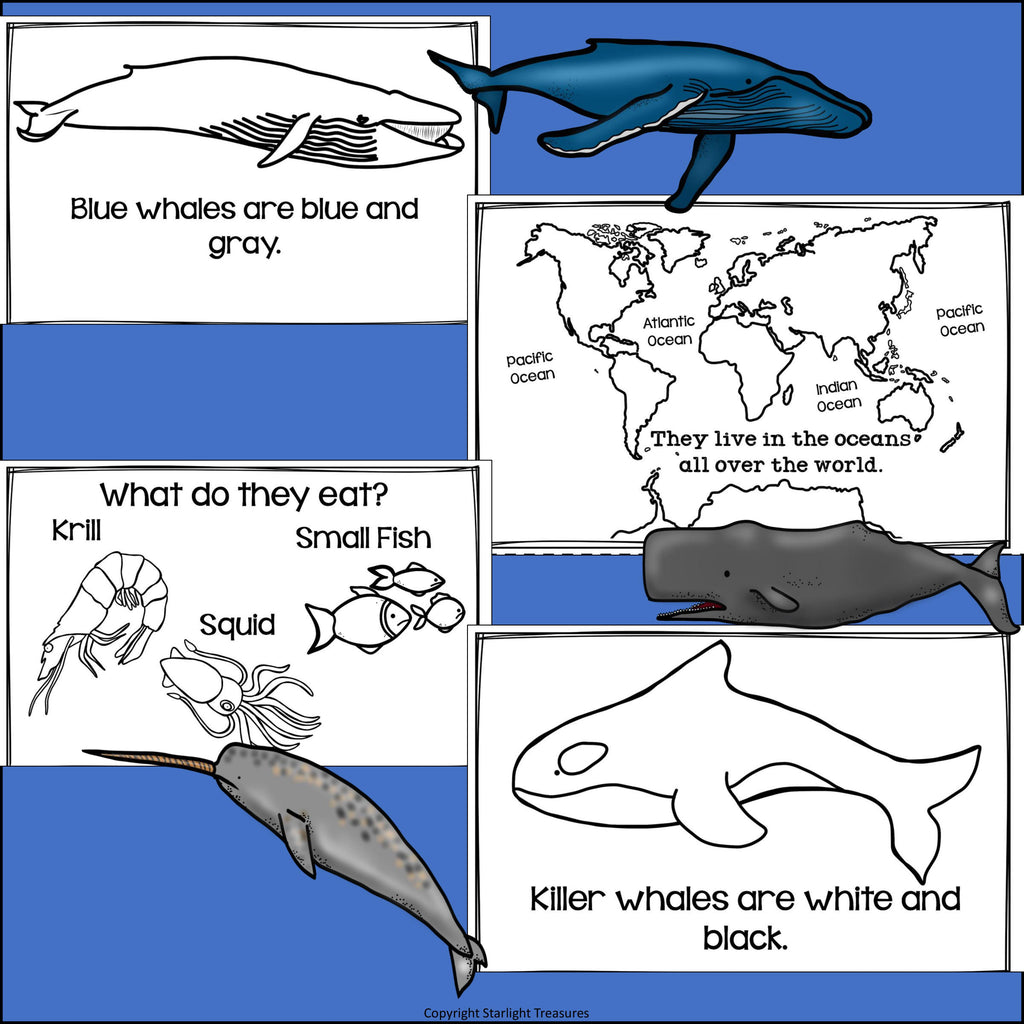 Whales Mini Book for Early Readers