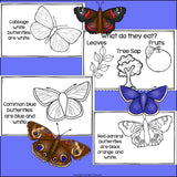 Types of Butterflies Mini Book for Early Readers