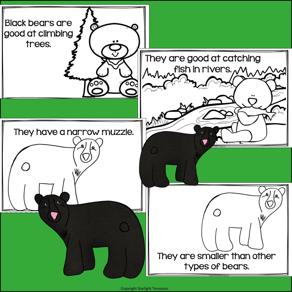 Black Bears Mini Book for Early Readers