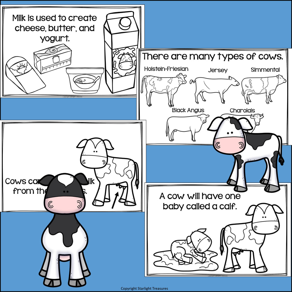 Cows Mini Book for Early Readers - Animal Study