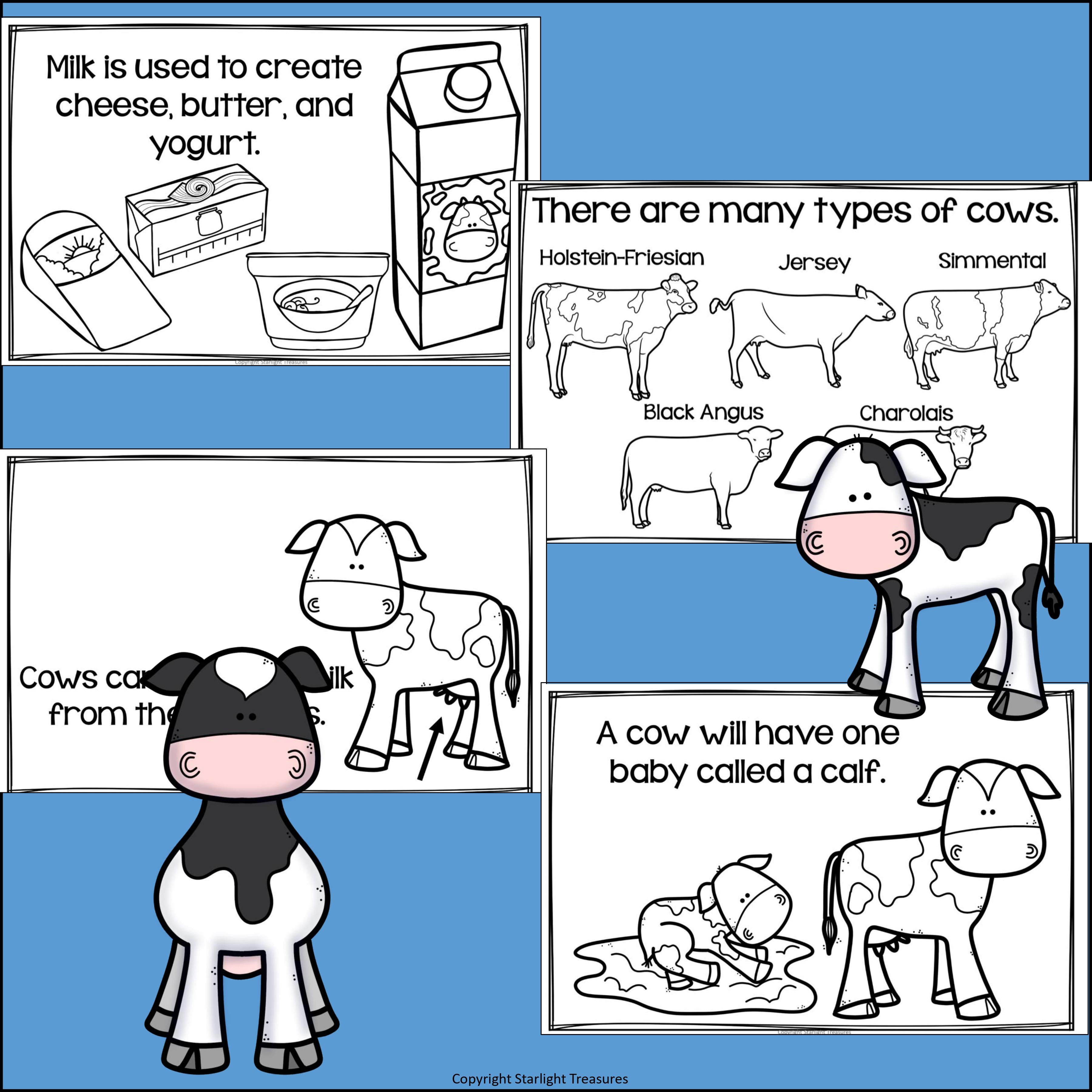 Cows Mini Book for Early Readers - Animal Study