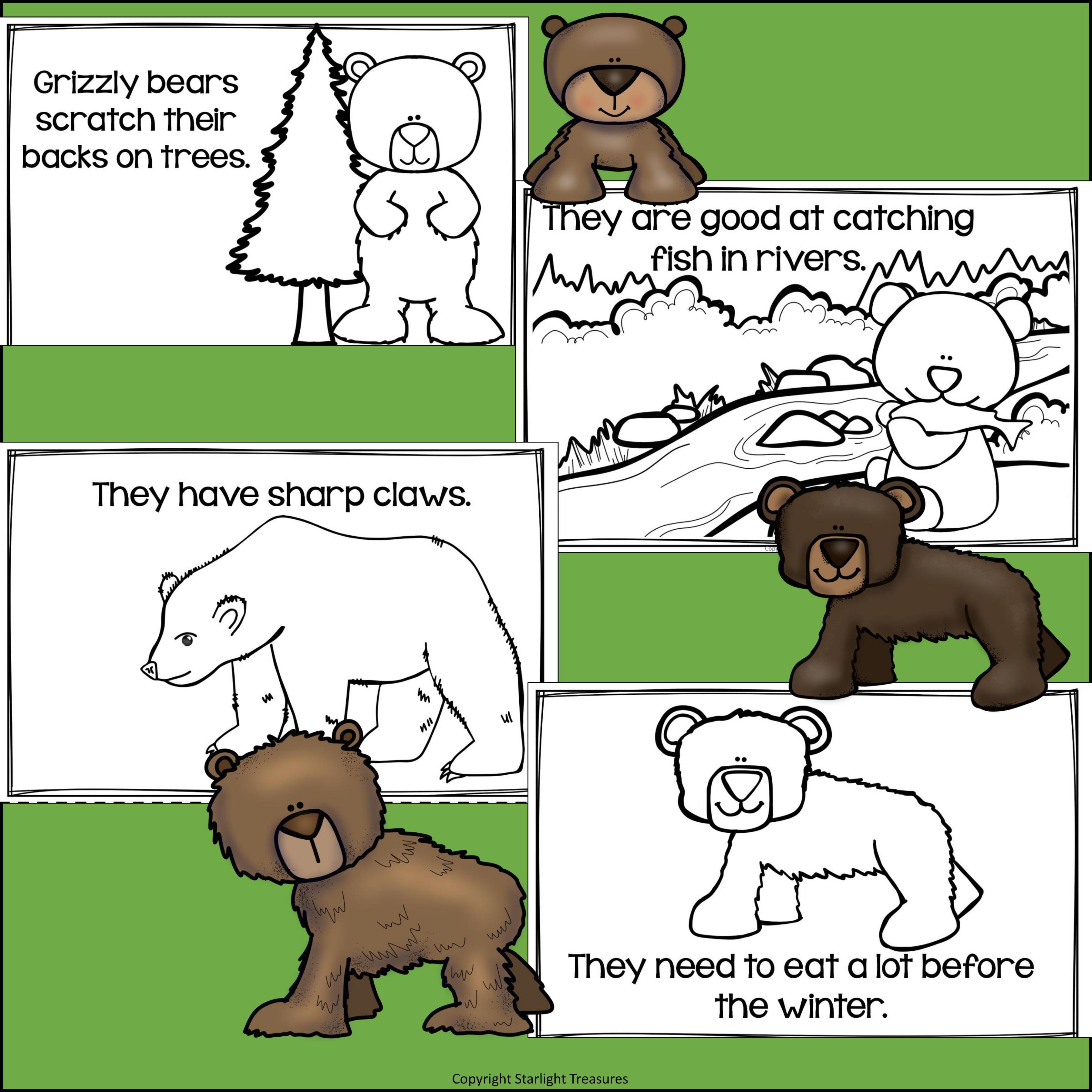 Grizzly Bears Mini Book for Early Readers