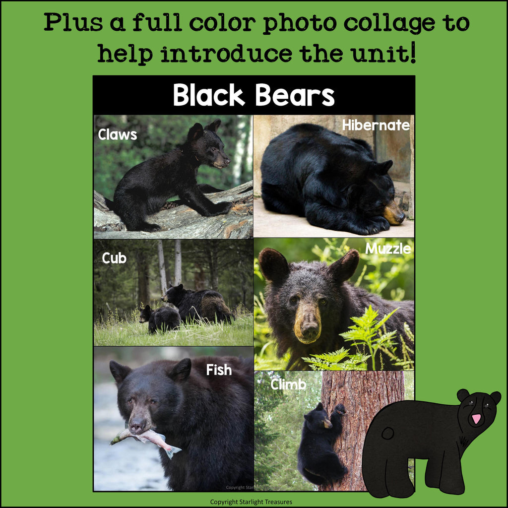 Black Bears Mini Book for Early Readers