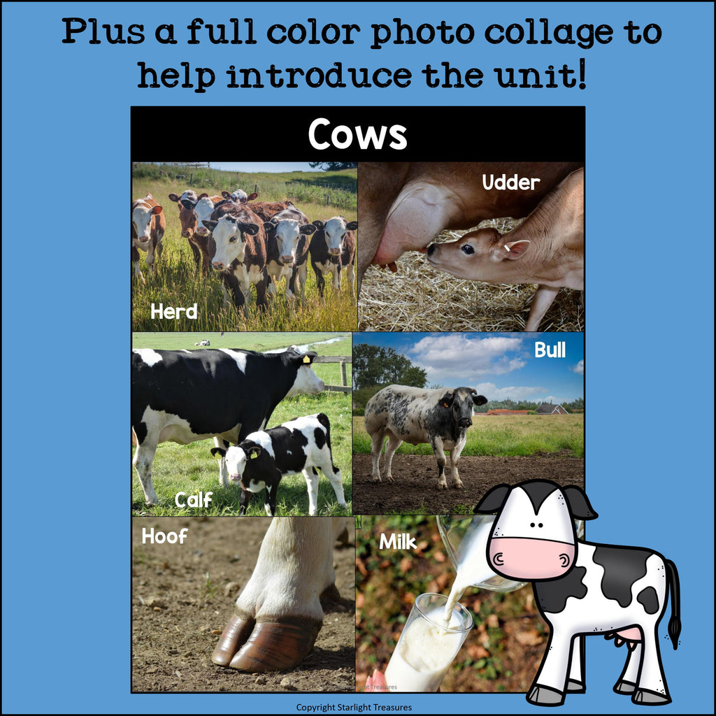 Cows Mini Book for Early Readers - Animal Study