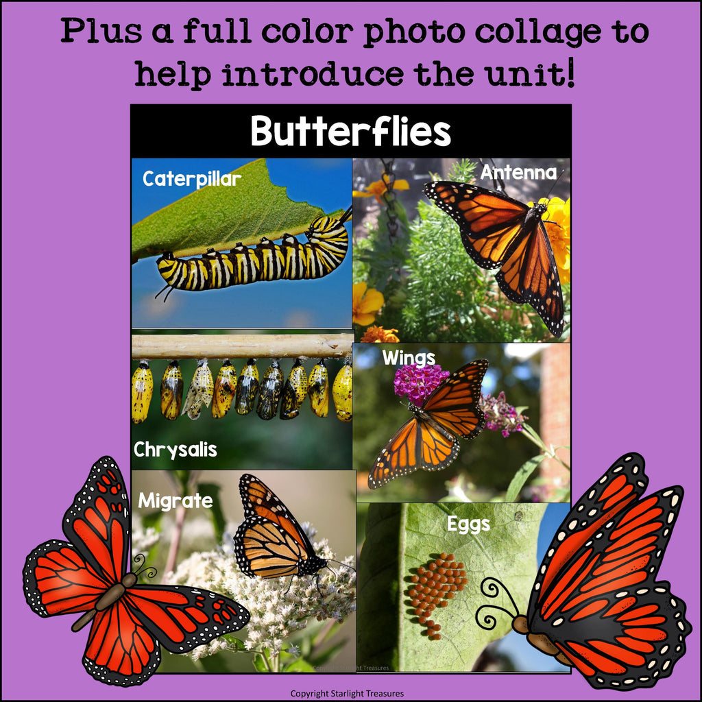 Butterflies Mini Book for Early Readers