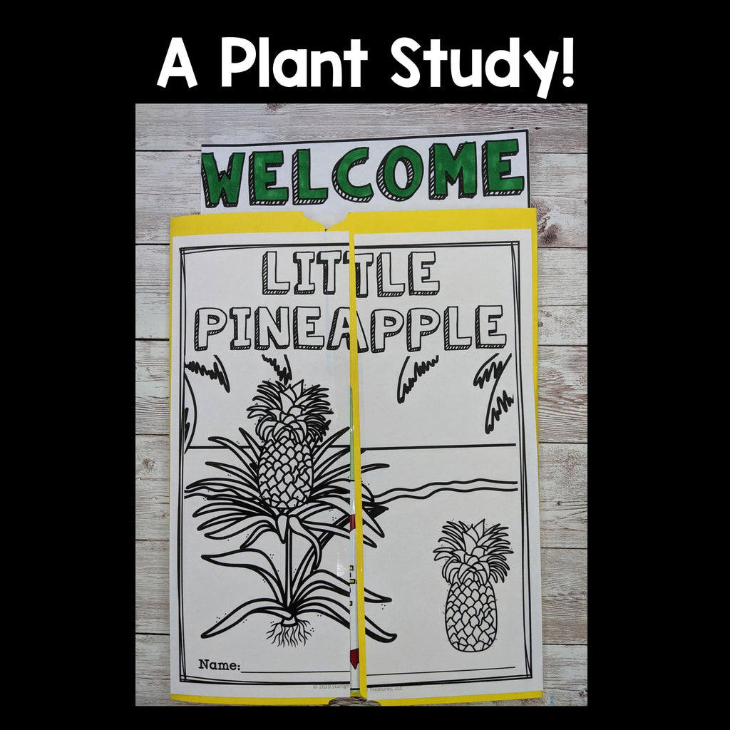 Pineapple Lapbook for Early Learners - Plant Study