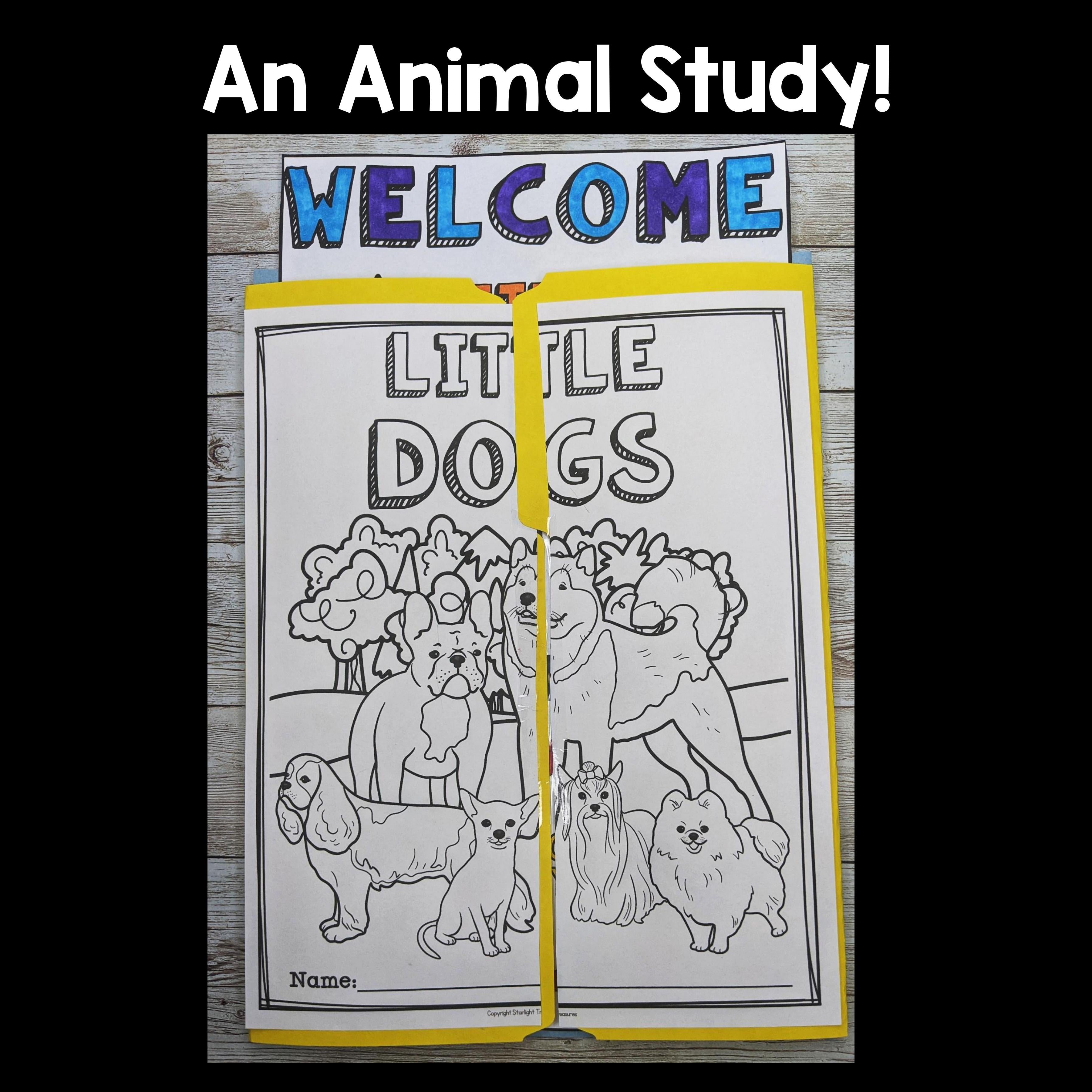 Dogs Lapbook for Early Learners - Animal Study