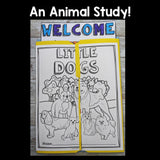 Dogs Lapbook for Early Learners - Animal Study