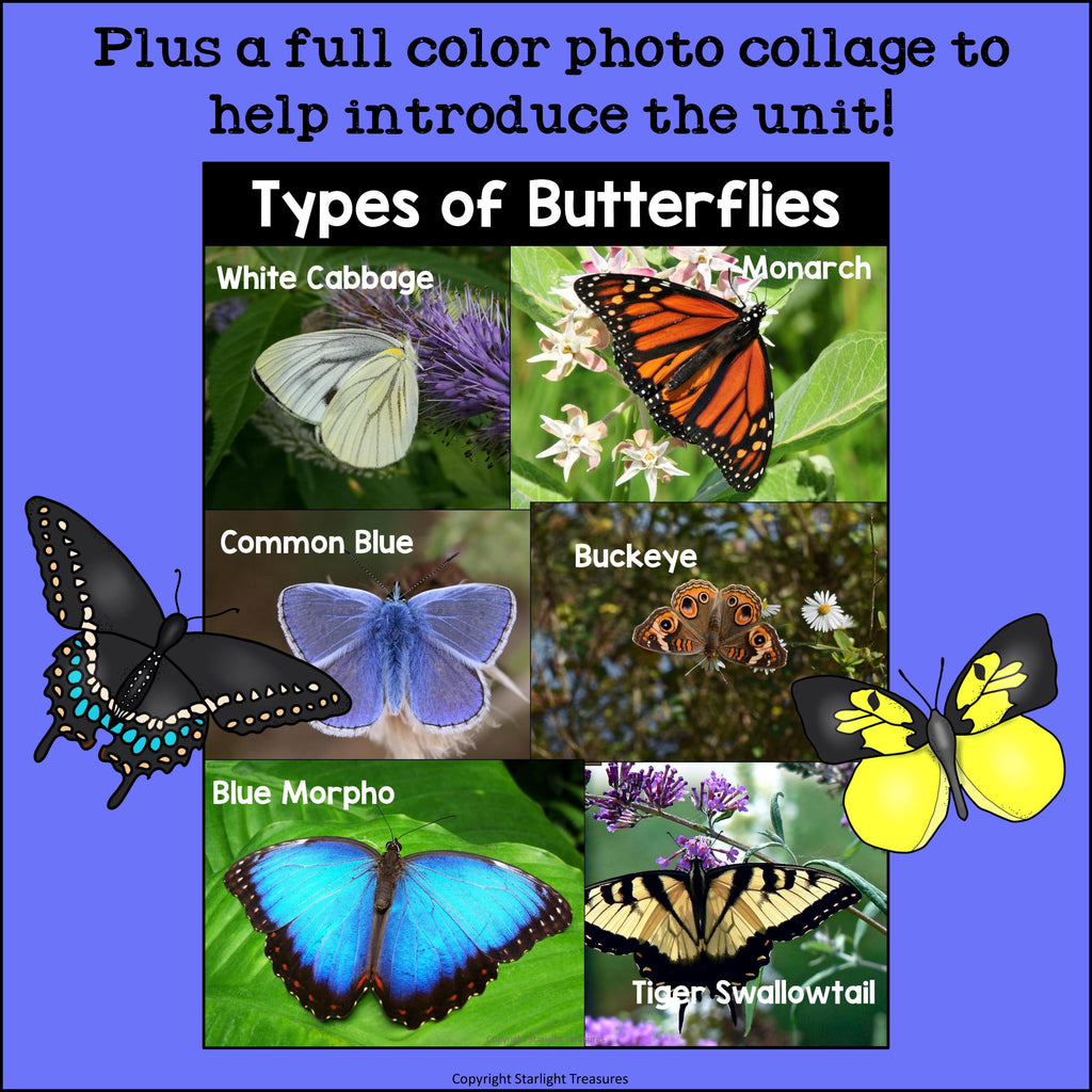 Types of Butterflies Mini Book for Early Readers
