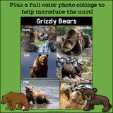 Grizzly Bears Mini Book for Early Readers