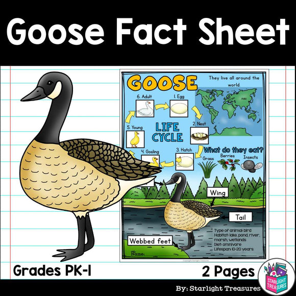 Goose Fact Sheets for Early Readers - Animal Study, Geese