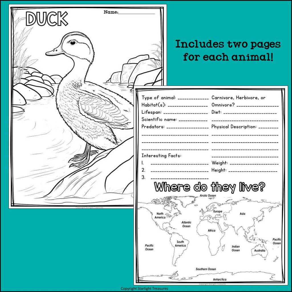 Wetland Animals Research Posters, Coloring Pages - Animal Research Project