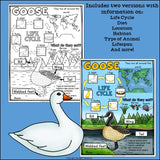 Goose Fact Sheets for Early Readers - Animal Study, Geese
