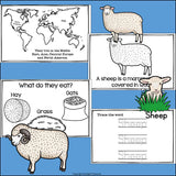 Sheep Mini Book for Early Readers - Animal Study