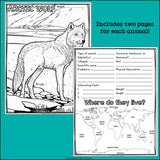 Arctic Animals Research Posters, Coloring Pages - Animal Research Project