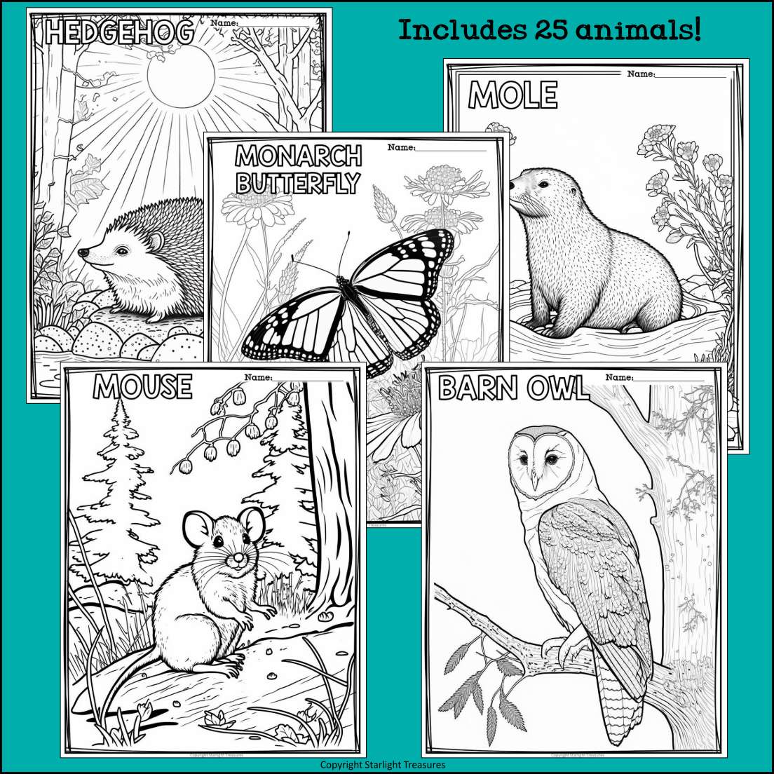 Woodland Animals Research Posters, Coloring Pages - Animal Research Project