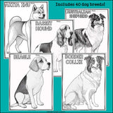 Dog Breeds Research Posters, Coloring Pages - Animal Research Project