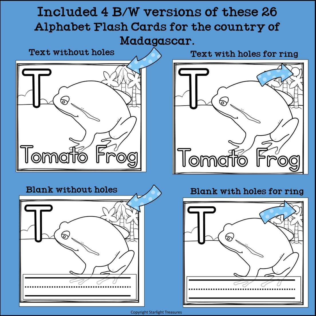 Alphabet Flash Cards for Early Readers - Country of Madagascar