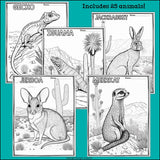 Desert Animals Research Posters, Coloring Pages - Animal Research Project