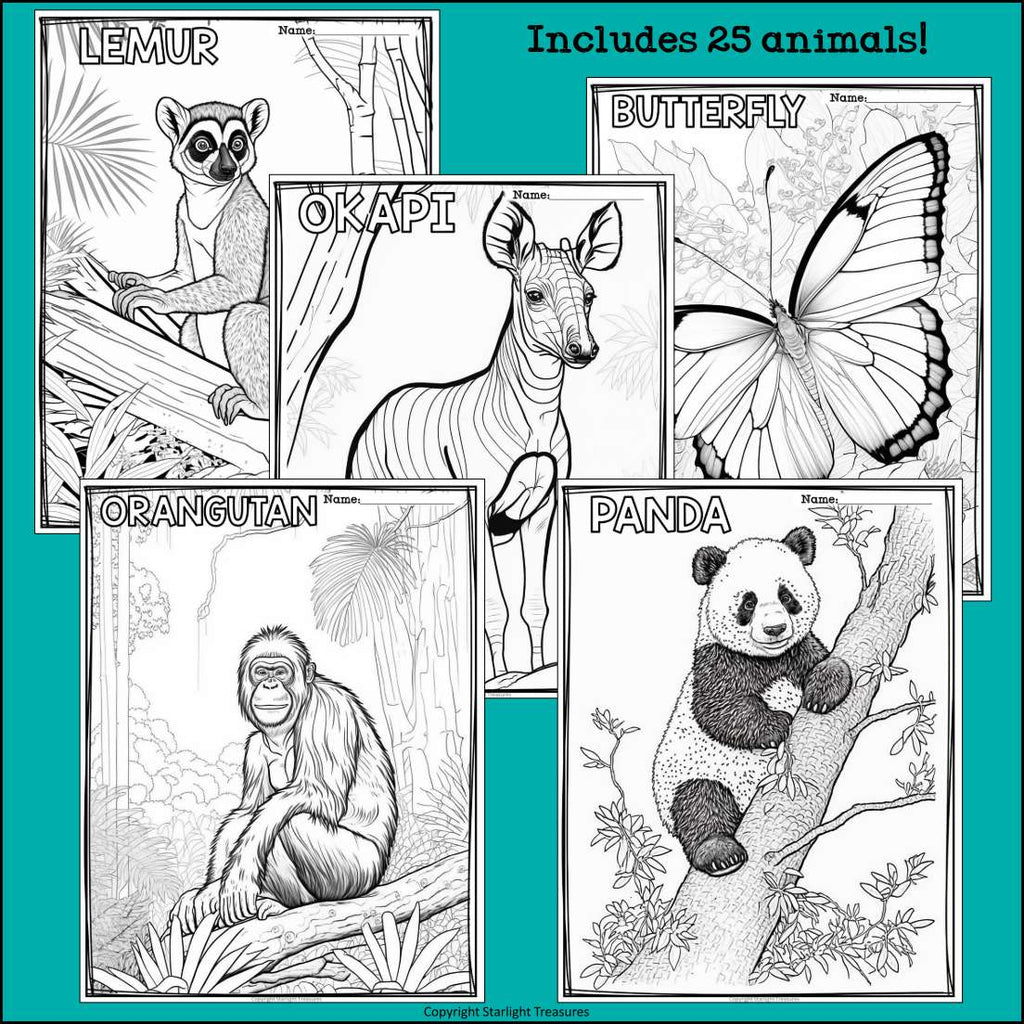 Rainforest Animals Research Posters, Coloring Pages - Animal Research Project