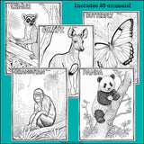 Rainforest Animals Research Posters, Coloring Pages - Animal Research Project