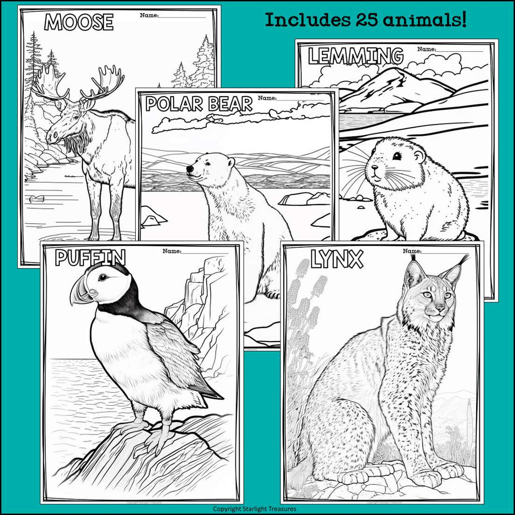 Arctic Animals Research Posters, Coloring Pages - Animal Research Project